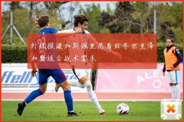 外媒报道加斯佩里尼看好齐尔克泽加盟适合战术需求